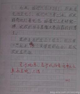 作文我的小玩具250字 我的玩具狗作文250字