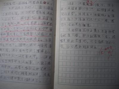 最难忘的事450字作文 一件难忘的事作文450字