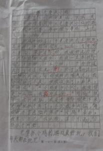 老鹰捉小鸡作文150字 老鹰捉小鸡作文200字