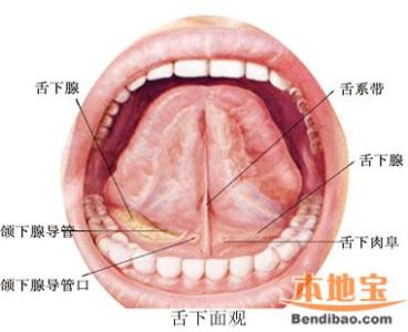 舌下含服 舌下含服 舌下含服-具体介绍，舌下含服-正确方法