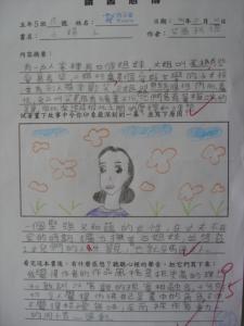 小妇人读书笔记 《小妇人》读书笔记800字