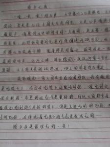 有趣的动物作文250字 记一件有趣的事作文250字