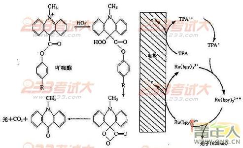 电化学原理 电化学原理 电化学原理-图书信息，电化学原理-内容简介