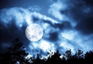关于月亮的知识有哪些 关于月亮