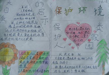 大自然的启示作文600字:竹笋给我的启示