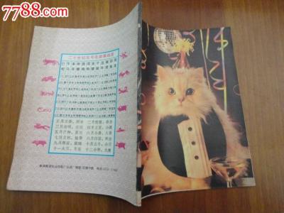 小学生优秀日记50字 可爱的小猫日记50字