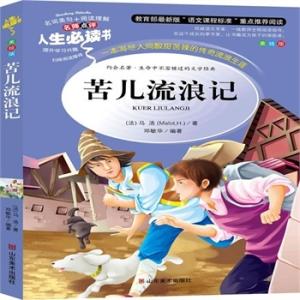 苦儿流浪记读后感50字 《苦儿流浪记》读后感600字