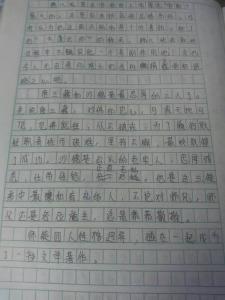 红楼梦读后感300字左右 《西游记》读后感300字