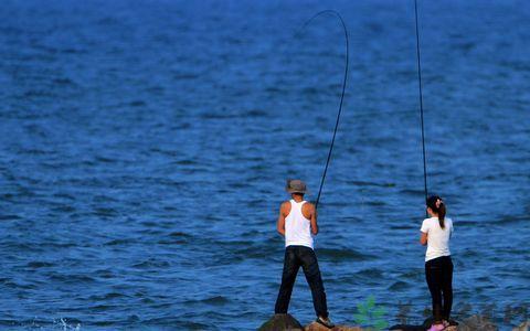 夏季钓鱼技巧 夏季钓鱼技巧有哪些