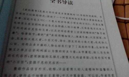 《童年》读书笔记400字 《爱的教育》读书笔记400字