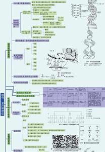 高一生物学习方法