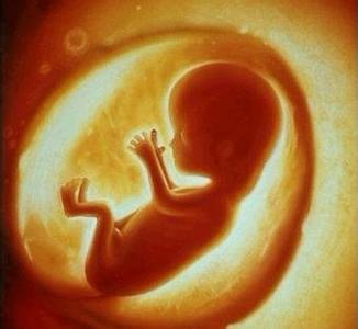 胎儿性别早知道的秘方 怎样早知道胎儿性别