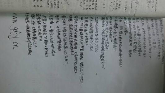 傅雷家书读后感1000 《傅雷家书》读后感1000字