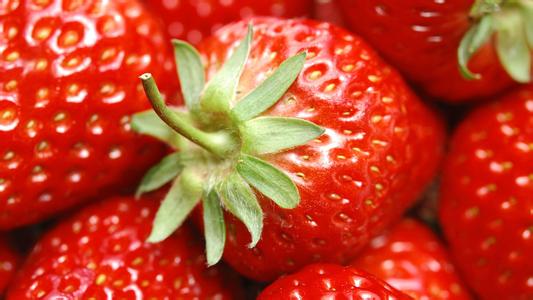 种草莓 草莓
