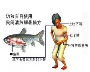 糖尿病酮症酸中毒病因 鱼胆中毒 鱼胆中毒-概述，鱼胆中毒-病因