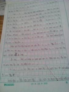 关于运动会的作文600 难忘的运动会作文600字