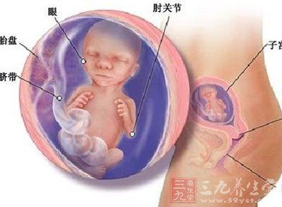 怀孕五个月胎儿图 怀孕五个月胎儿图 怀孕5个月妈妈的变化