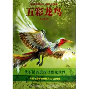 五彩龙鸟读后感600字 沈石溪《五彩龙鸟》读后感600字