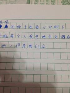 我想去北京作文500字 美丽的北京作文500字