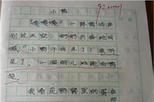 逗小狗作文400字 关于我家的小狗400字作文