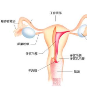 女性慢性盆腔炎症状 盆腔炎有哪些症状 了解预防女性盆腔炎（9）