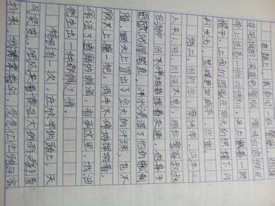 我这个人作文400字 我这个人作文300字