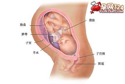 怀孕35周入盆什么感觉 怀孕35周 35周了看你有什么变化