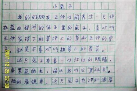 我喜欢的小白兔450字 关于小兔子的作文450字