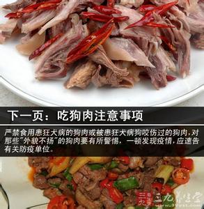 狗肉和绿豆能一起吃吗 狗肉不能和什么一起吃 狗肉和绿豆吃会中毒