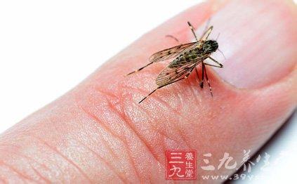 蚊子最怕什么味道 夏季蚊子最怕的味道是它