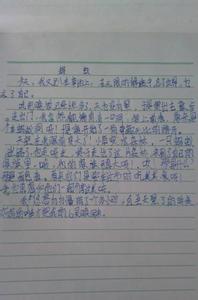 观察蚂蚁的作文300字 关于观察蚂蚁的作文600字