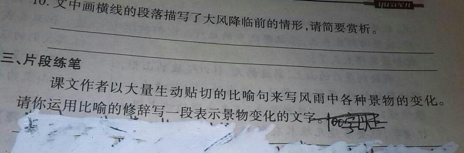 最难忘的事少于100个字 最难忘的事100字