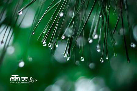 雨声的象声词 雨声