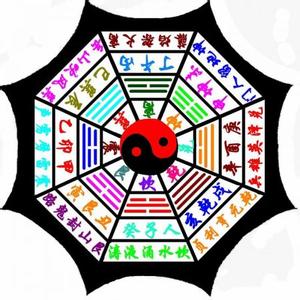 中国八卦象数疗法 《中国八卦象数疗法》 《中国八卦象数疗法》-简介，《中国八卦象