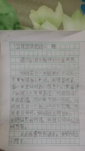 小学生作文500读后感 小学生作文《党在我心中》读后感500字