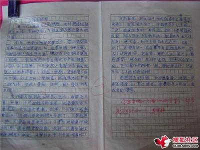 成长中的快乐作文800字 成长的快乐作文1000字