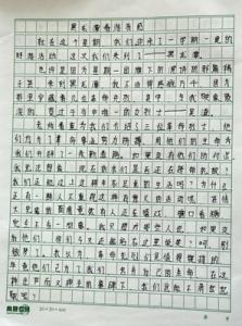 春天的校园作文300字 春天的校园作文100字