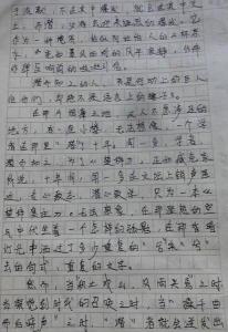 我的老师800字记叙文 我的老师作文800字