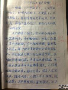 20年后的家乡450字 20年后的家乡作文500字