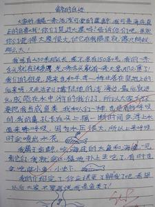 雨的作文300字 雨的作文200字