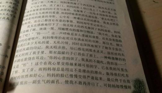 过年日记300字 过年日记250字