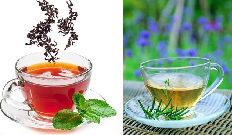 红茶和绿茶的区别 详述红茶和绿茶的区别