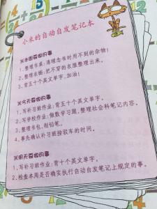 《不上补习班的第一名》读后感300字