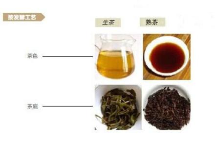 普洱茶的产地 普洱茶分类及产地