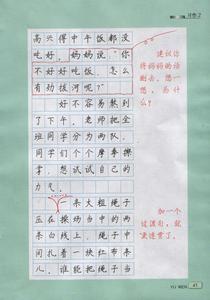 小学五年级下册第二单元习作300字400字