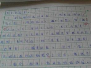 春节写事的作文450字 春节里的一件事作文800字