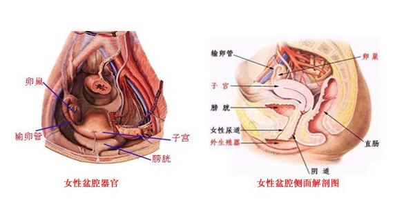 盆腔炎的自我疗法 盆腔炎的治疗方法