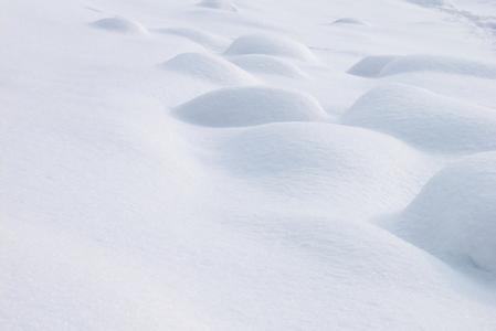 雪的宝 雪的白