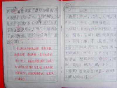 关于启示的作文300字 大自然的启示作文300字