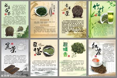 各种茶叶的功效大全 各种茶叶的功效